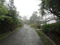 Mawlynnong Village