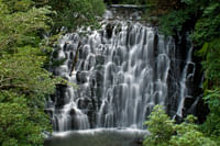 Elephant Waterfall