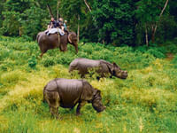 Chitwan National Park