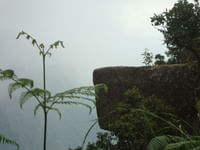 Dolphin nose view point coonoor