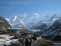 Kedarnath Route