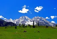 Thajiwas glacier