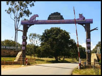Bandipur national park