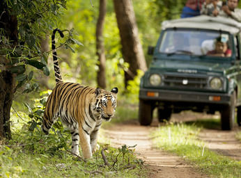 Jeep Safari in Jim Corbett