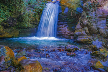 Darjeeling Pelling & Gangtok Holiday Tour