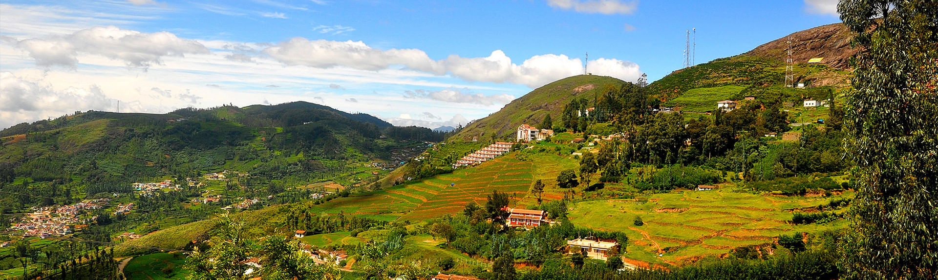 Ooty