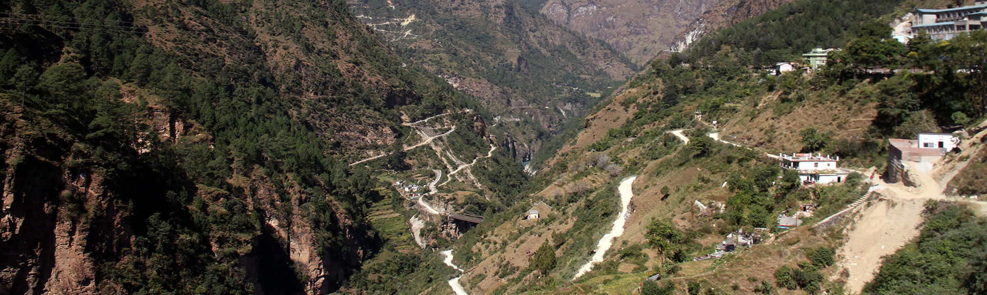 Pipalkoti