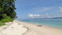 Neil island andaman