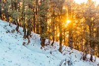 Nag Tibba