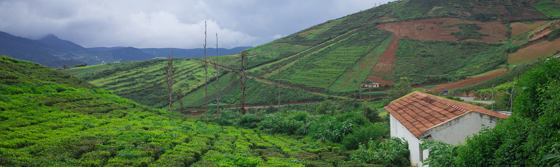 Coorg