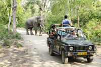 Jim Corbett Jungle Safari