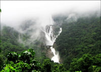 Dudhsagar Waterfalls, Goa