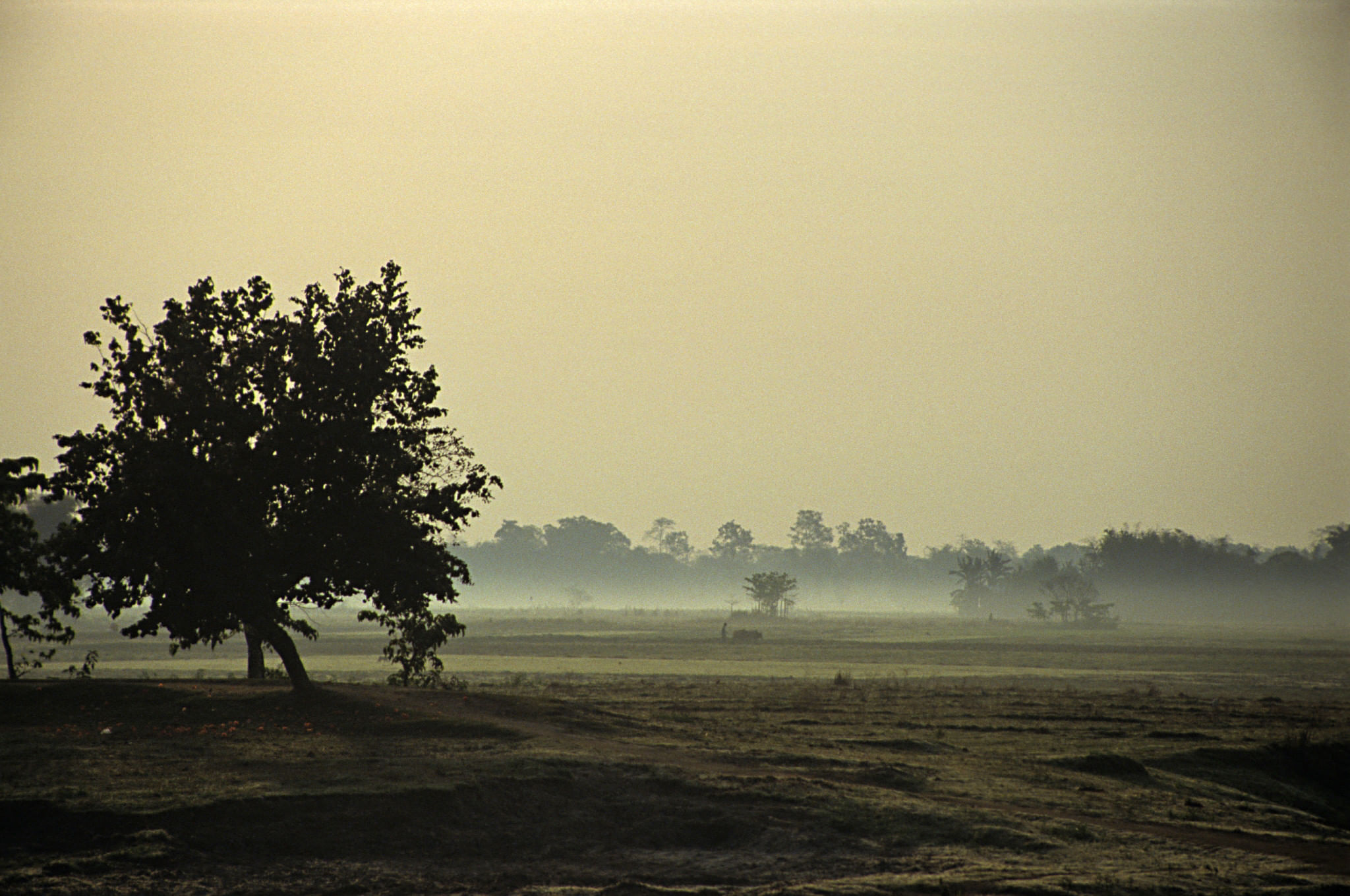 majuli