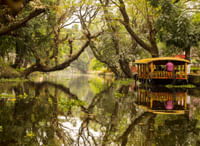 Alleppey Backwaters