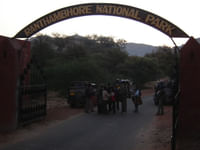 Ranthambore National Park