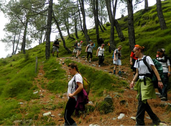 Trekking in Mcleodganj