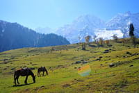 sonmarg