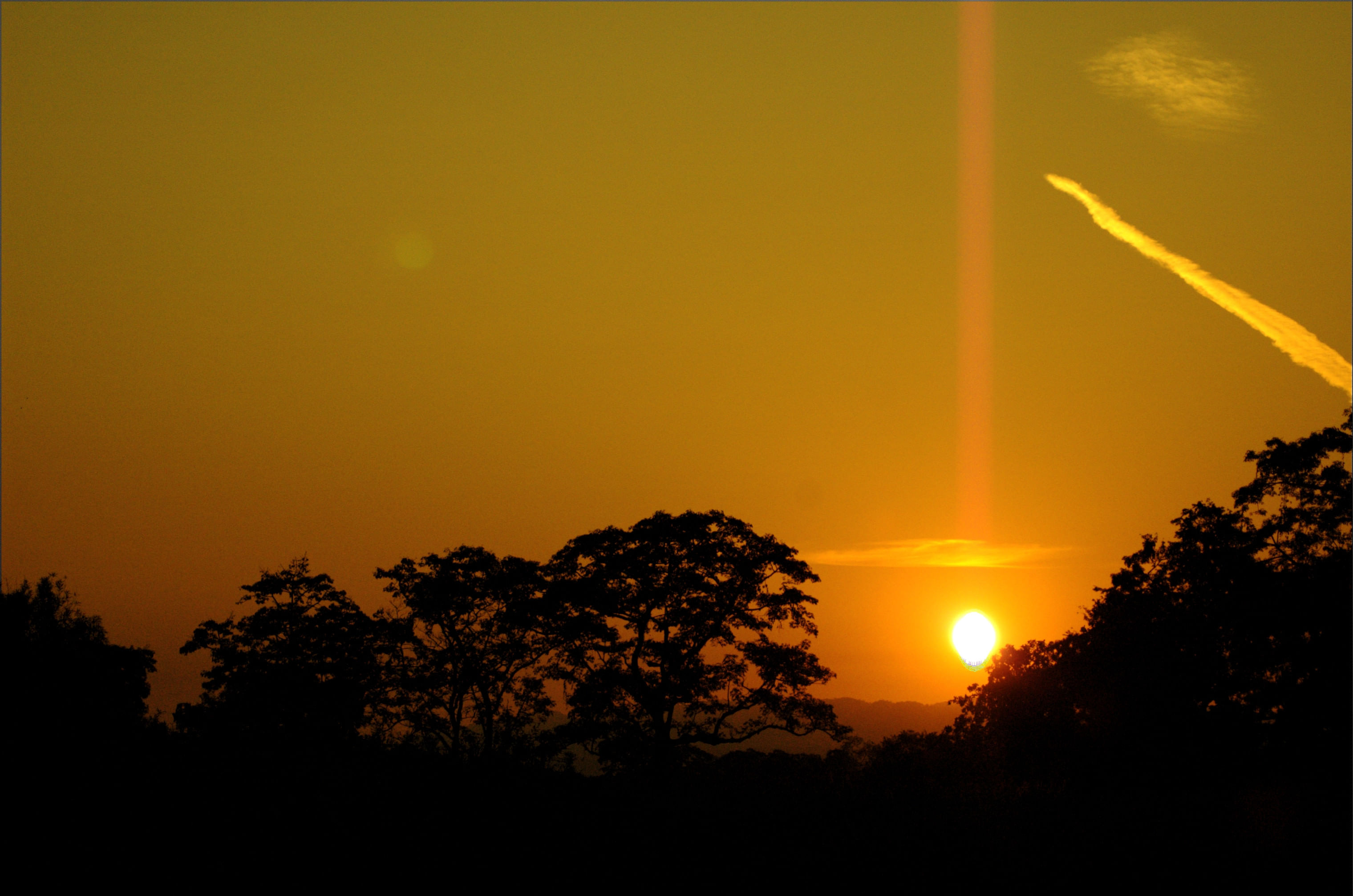 kaziranga national park