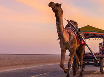 Parashar Lake Weekend Trip