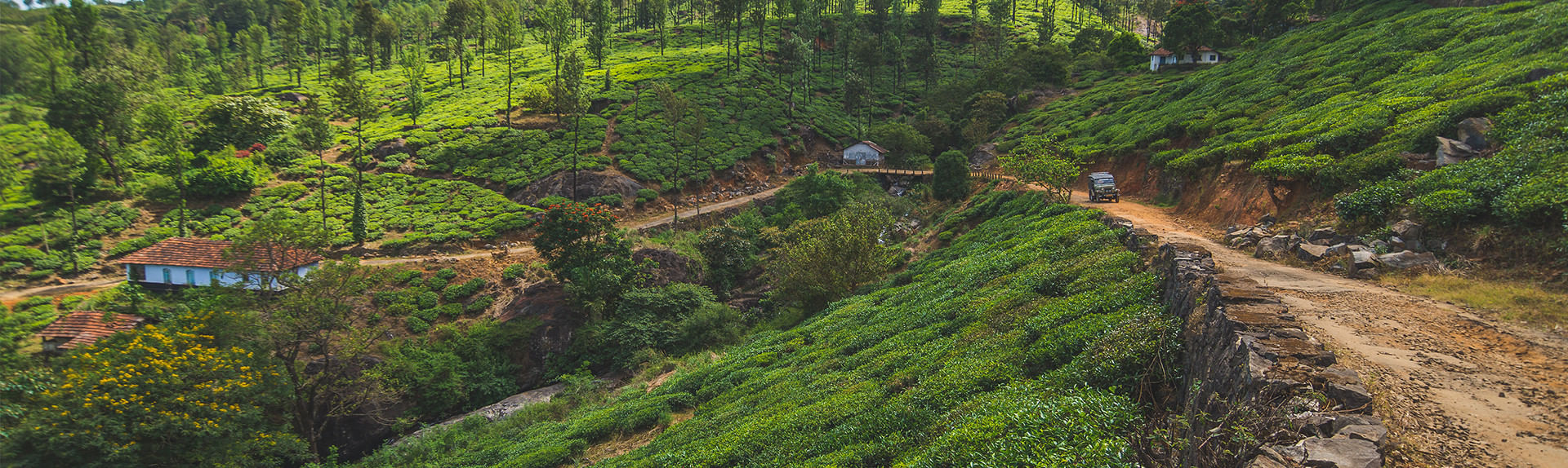 Wayanad