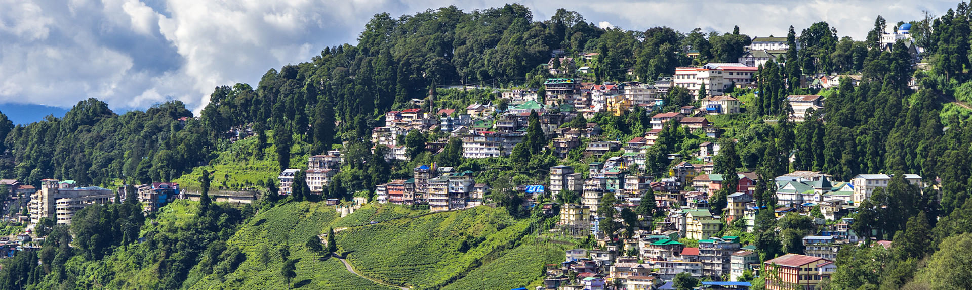 bagdogra