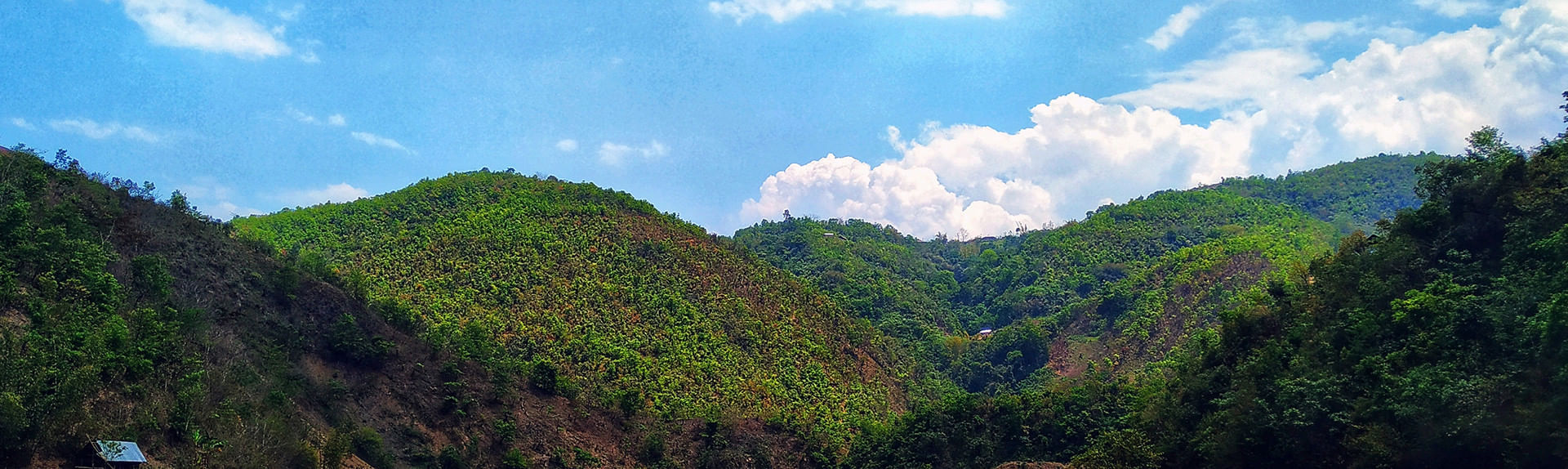 senapati
