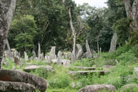 Nartia
