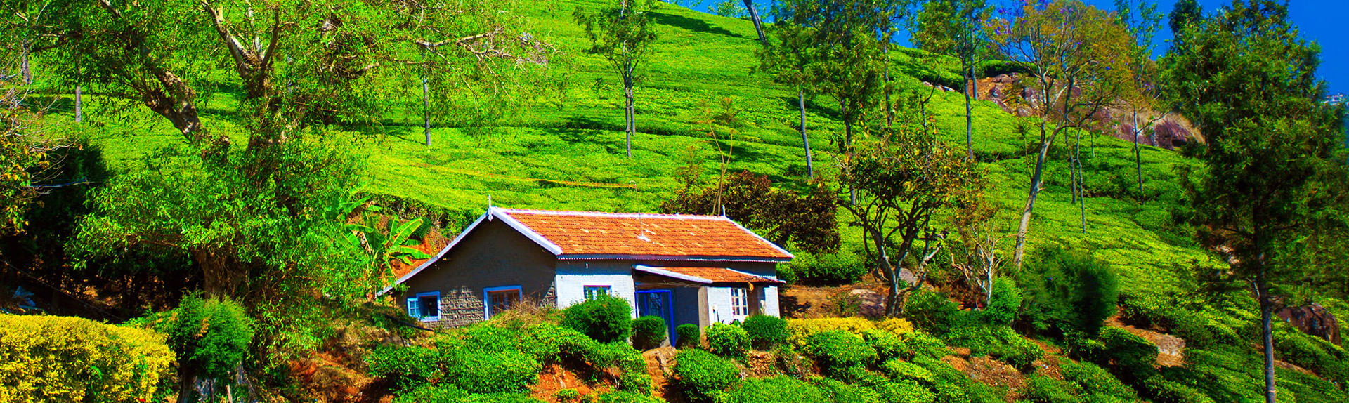 coonoor