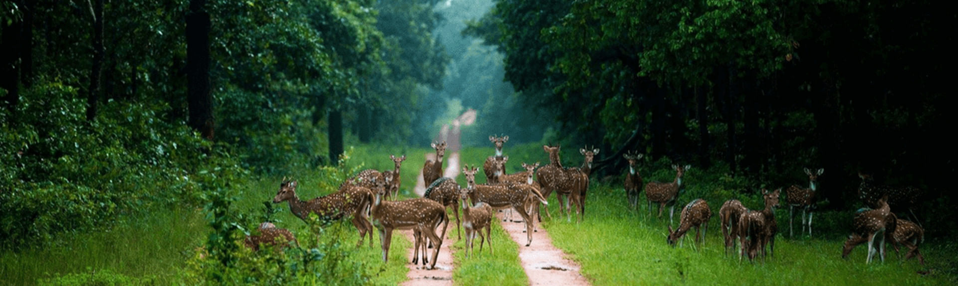 bijapur