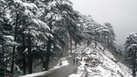 patnitop