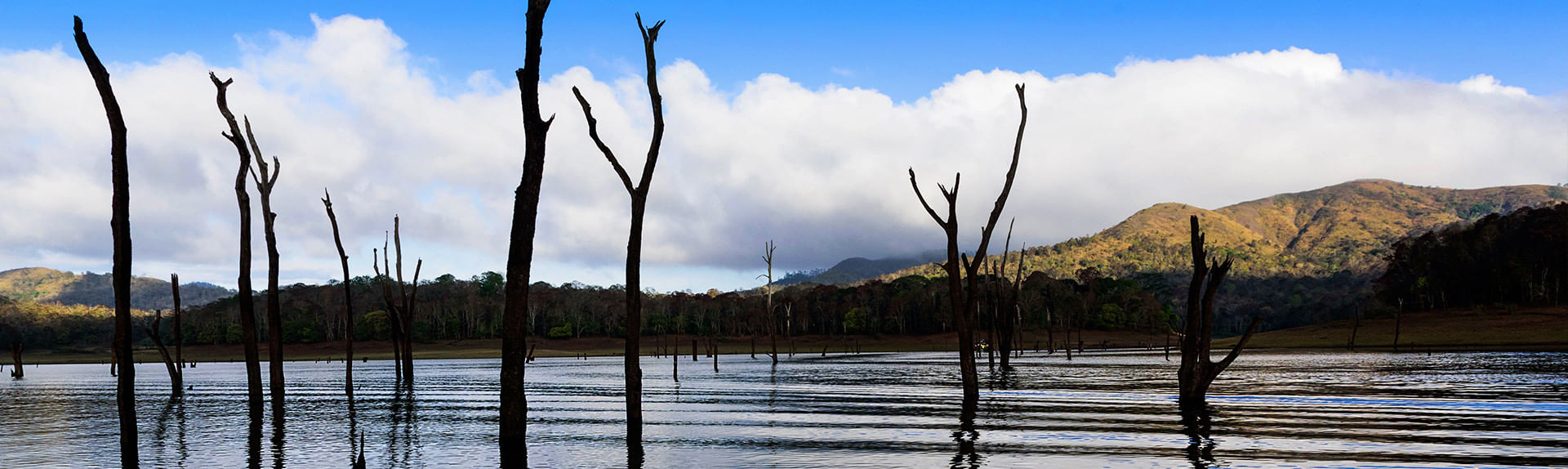 Thekkady
