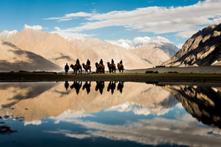 Camel Safari in Ladakh
