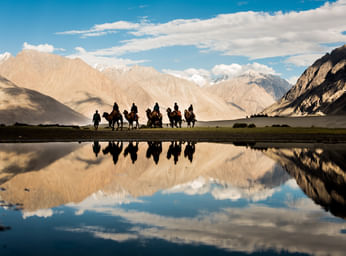 Camel Safari in Ladakh