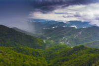 Thekkady