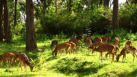 Ballavpur Wildlife Sanctuary