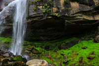 Jogni Falls