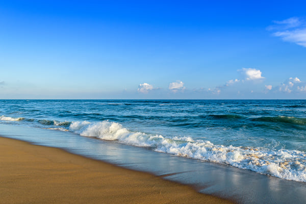 Odisha Special Tour