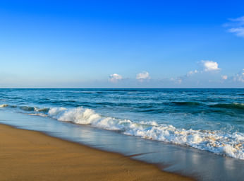 Odisha Special Tour