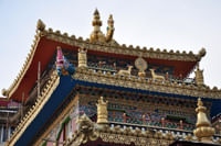 Dalai Lama Temple,Mcleodgunj