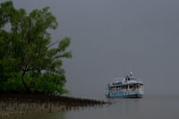 Sundarbans Cruise