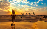 Camel safari  Jaisalmer