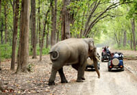 Jim Corbett, Uttrakhand