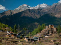 Kumarkom