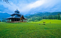 Grass land