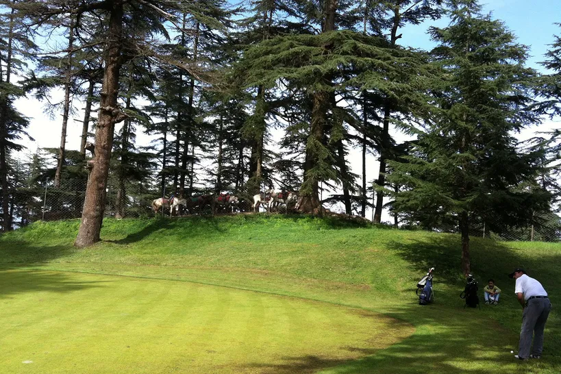 Golfing in Shimla
