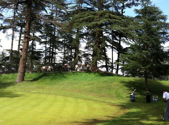 Golfing in Shimla