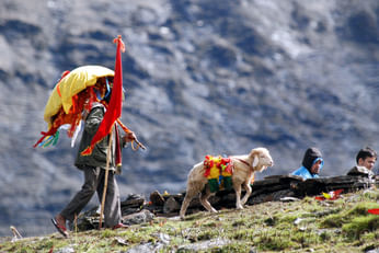 Nanda Devi Raj-Jaat Yatra and Nanda Devi Mela
