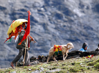 Nanda Devi Raj-Jaat Yatra and Nanda Devi Mela