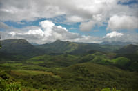 Munnar - Tea plantations