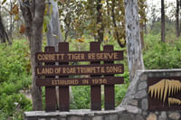 Tiger Reserve, Jim Corbett